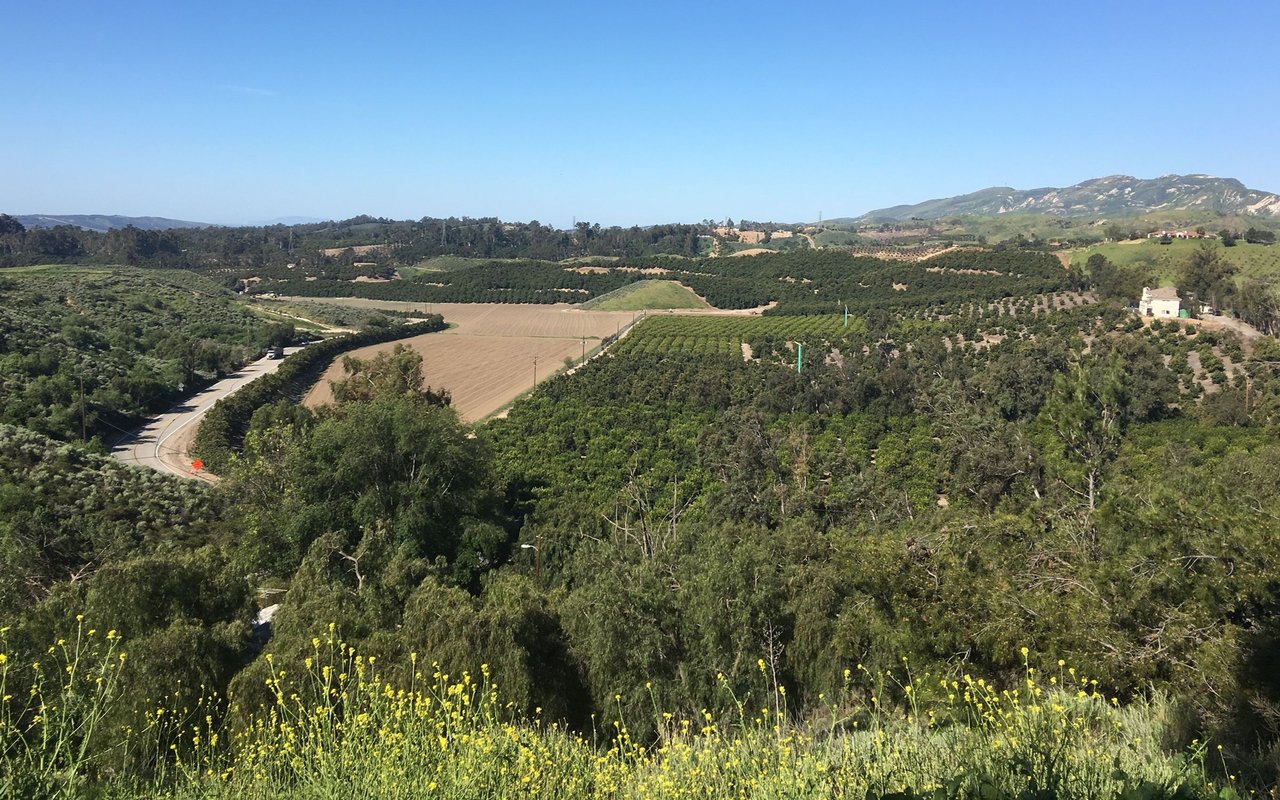 Moorpark