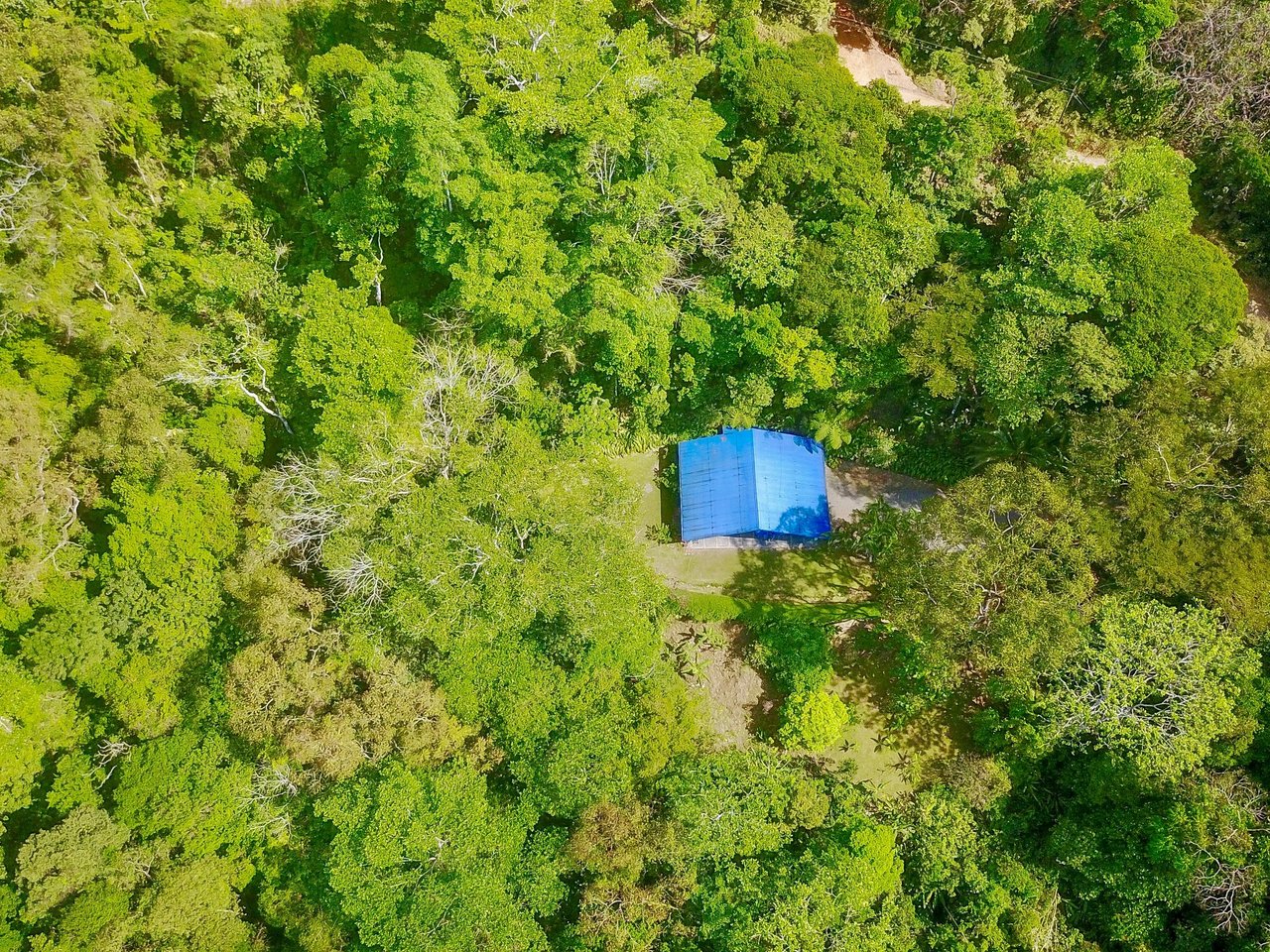 2.35 ACRES- 2 Bedroom Colorful Jungle Home With Ocean Views, Privacy, Room To Build More, Only 10 Min To Dominical!!!