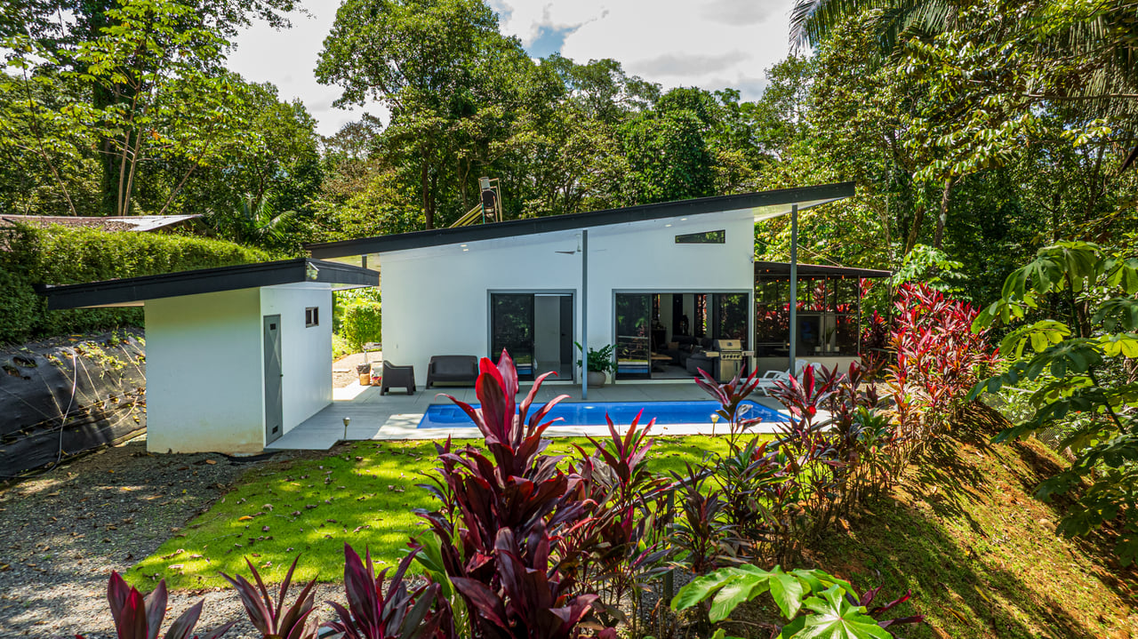 Cinco Ventanas Jungle Life Redefined