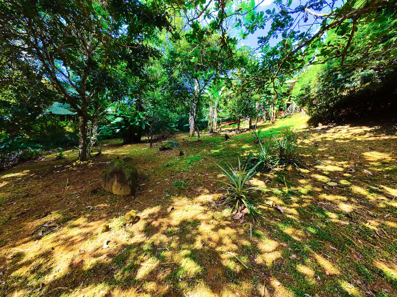 Serene Jungle Home + Guest Cabin on 3 Acres and River