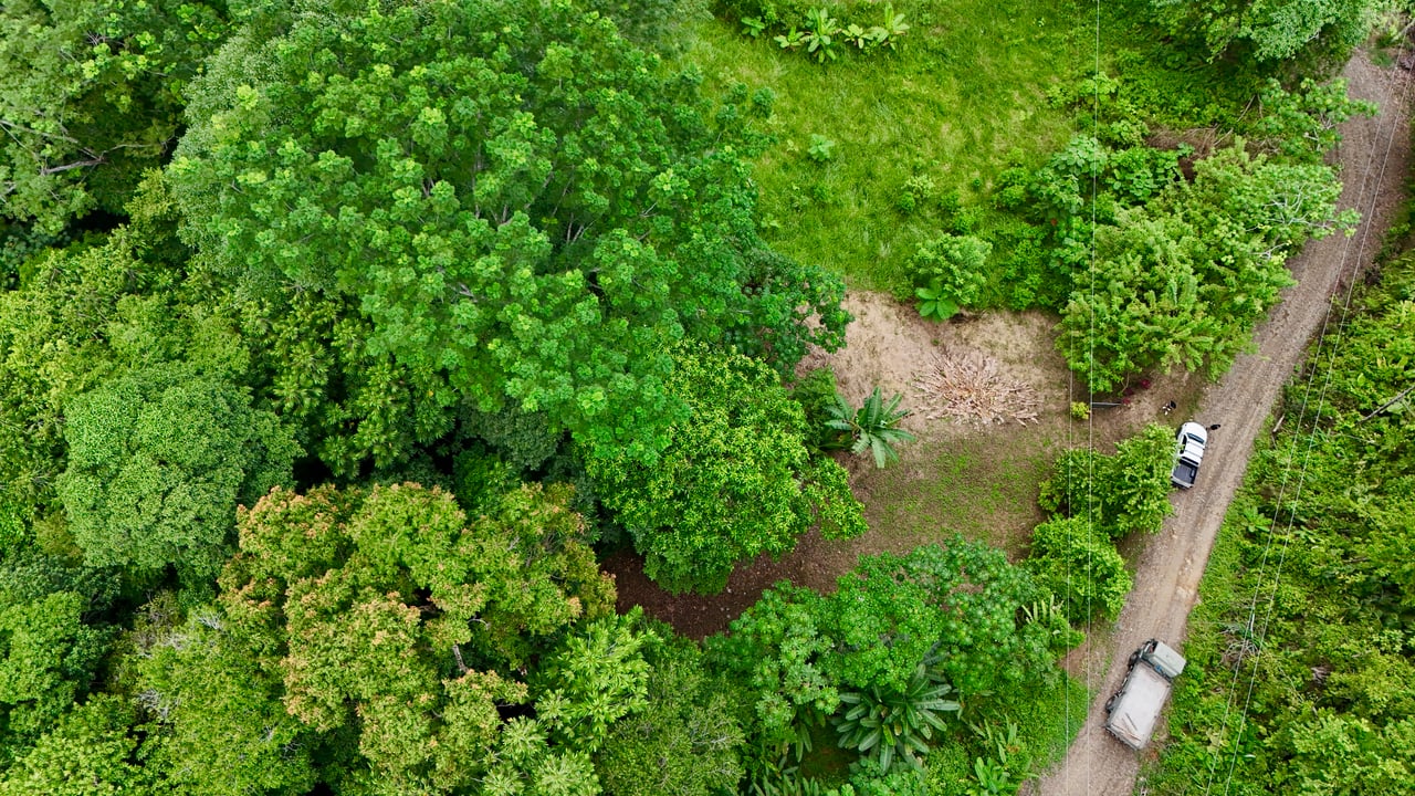 Tres Ríos Jungle Sanctuary | Ready-to-Build Lot Surrounded by Nature