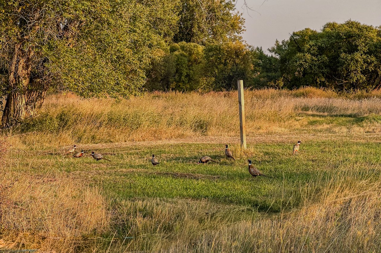 The Platte River Ranch