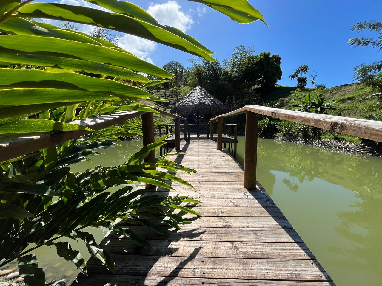 Cinematic Ocean&Mountain View Property In Vista Dominical Estate, Minutes From The Beach!