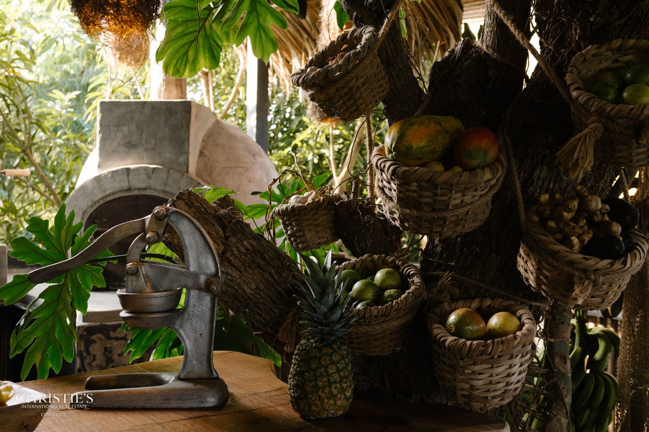 Villa Animales – Luxury Jungle Sanctuary