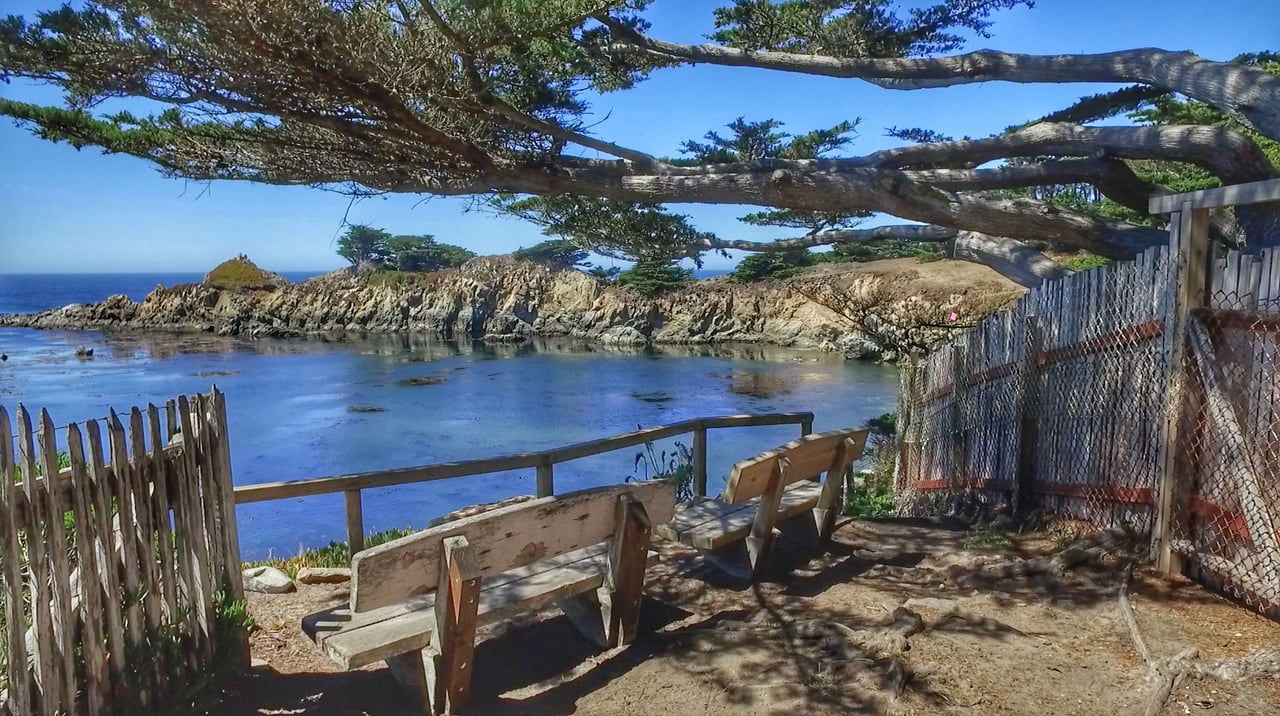 Otter Cove / Yankee Point