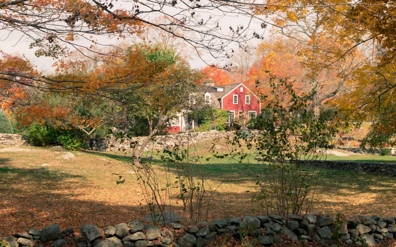 Wilton