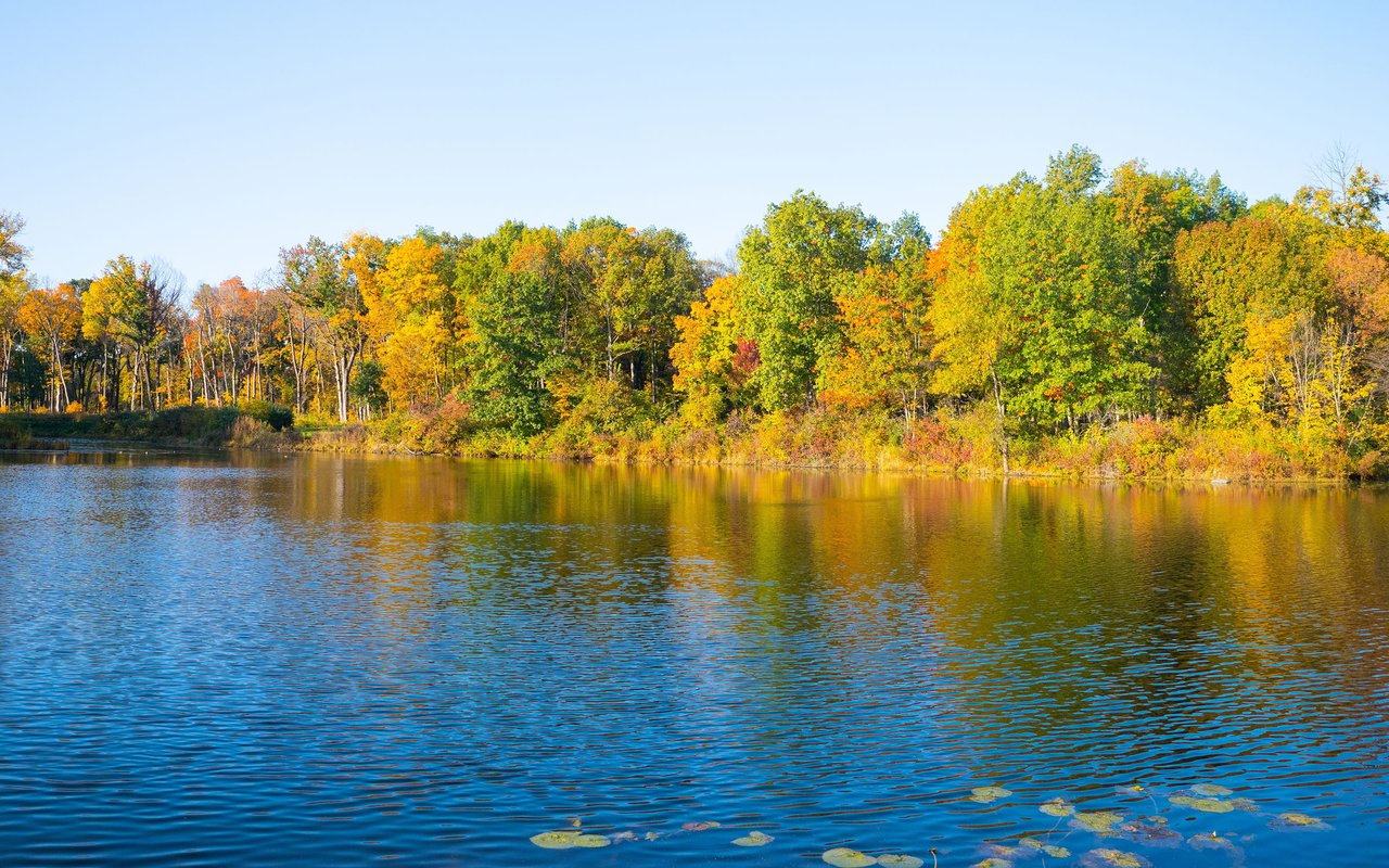 Lake In The Hills
