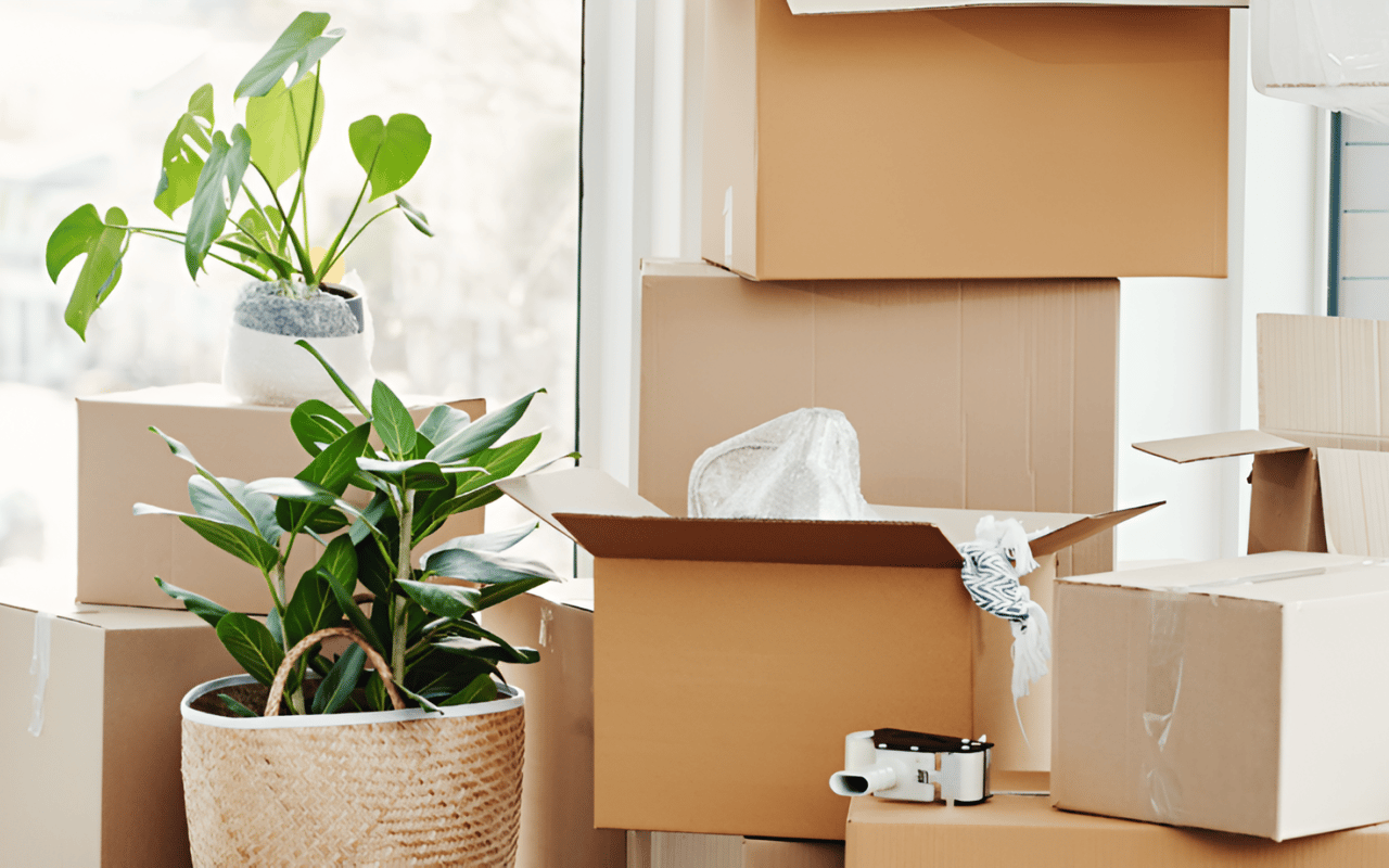 Relocating For A Job - Living in Greater Seattle