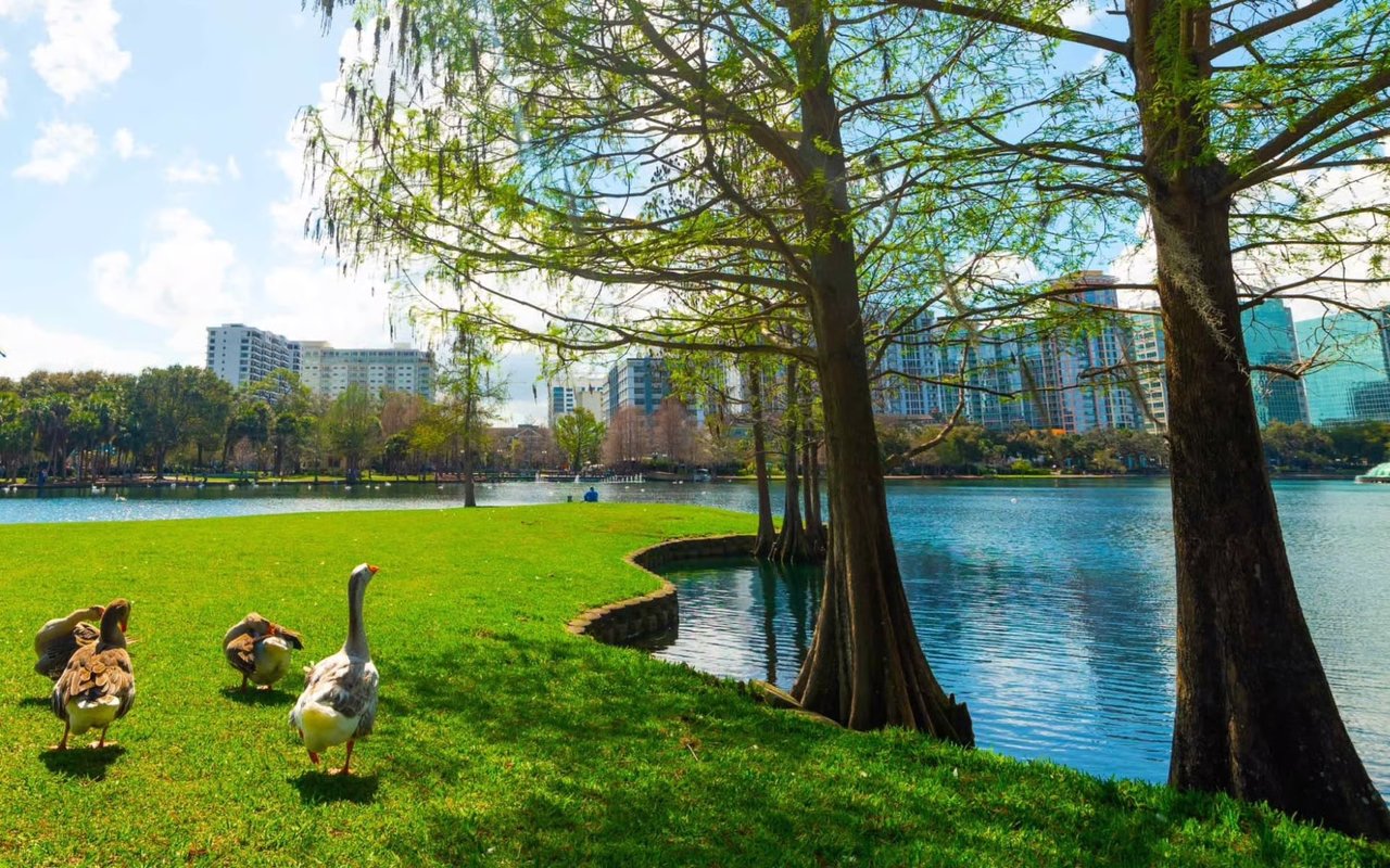 Colorful street view of Thornton Park in Orlando Florida featuring historic homes, walkable charm, and vibrant lifestyle