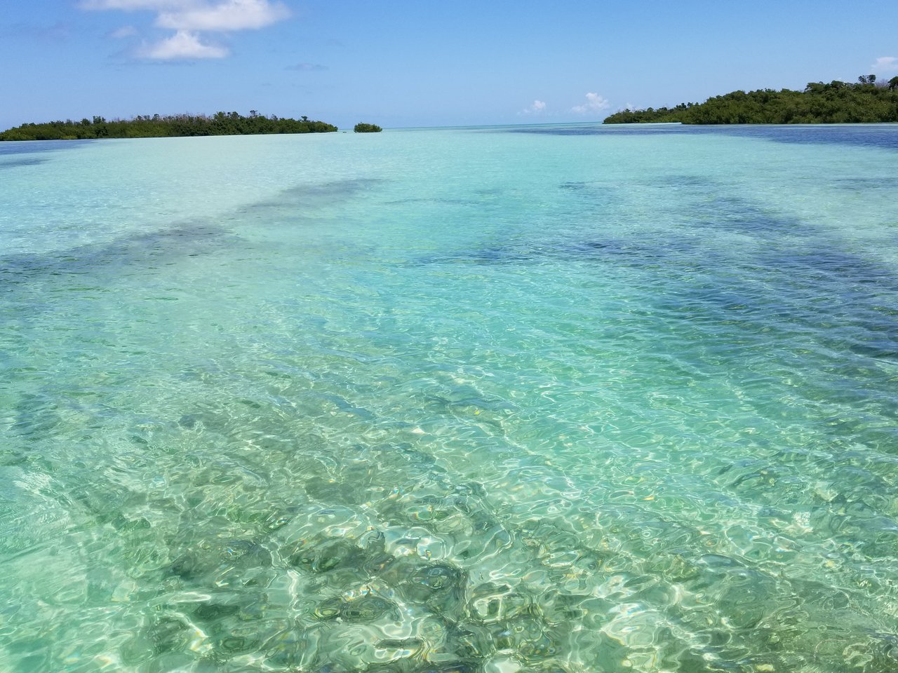 Tavernier/Plantation Key