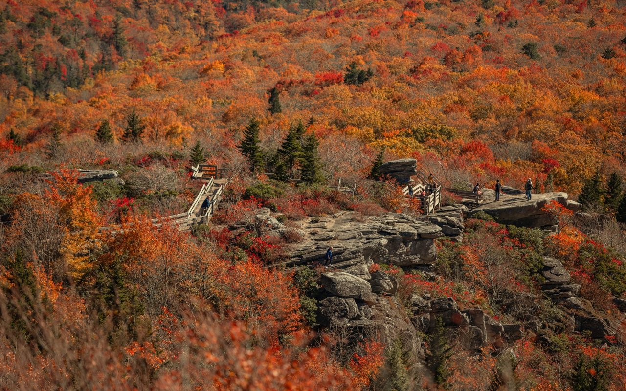 Hikers at a rocky mountain overlook surrounded by vibrant autumn foliage.