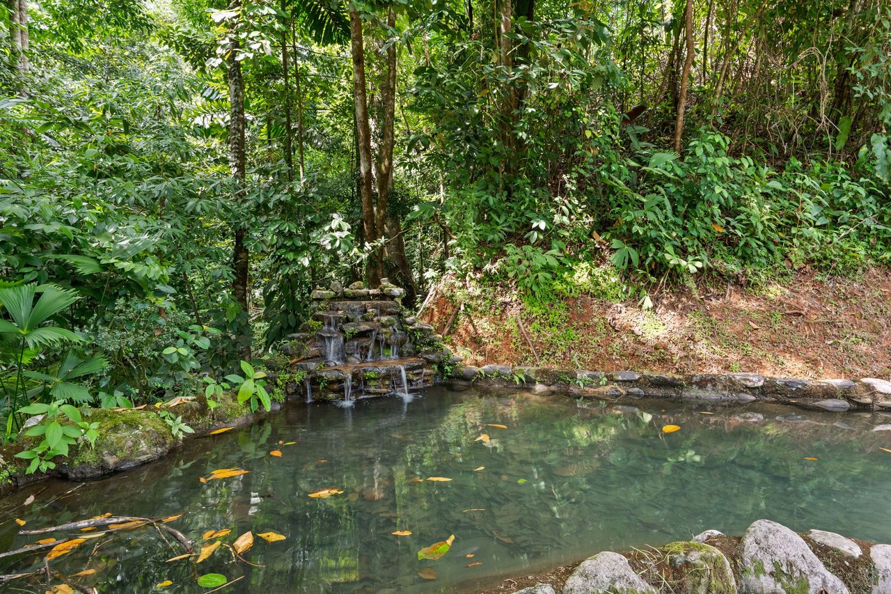 OCEAN VIEW ESTATE HOME WITH GUEST BUNGALOW, CARETAKER HOME, FRUIT TREES, AND WATERFALL – 3.47 ACRES