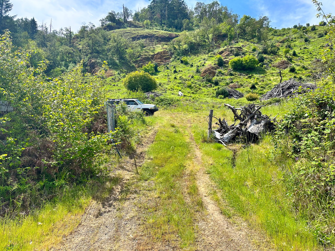 STRICKLAND BOULDER FOREST
