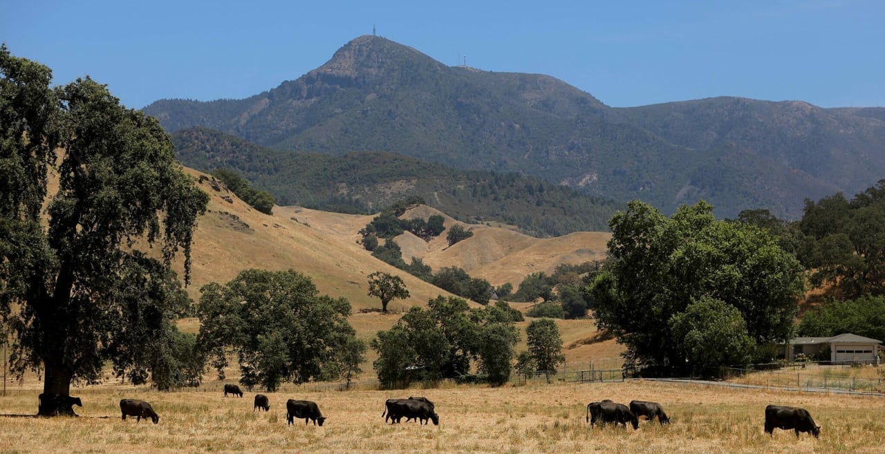 A Bucket List of Essential Things To Do in Sonoma County
