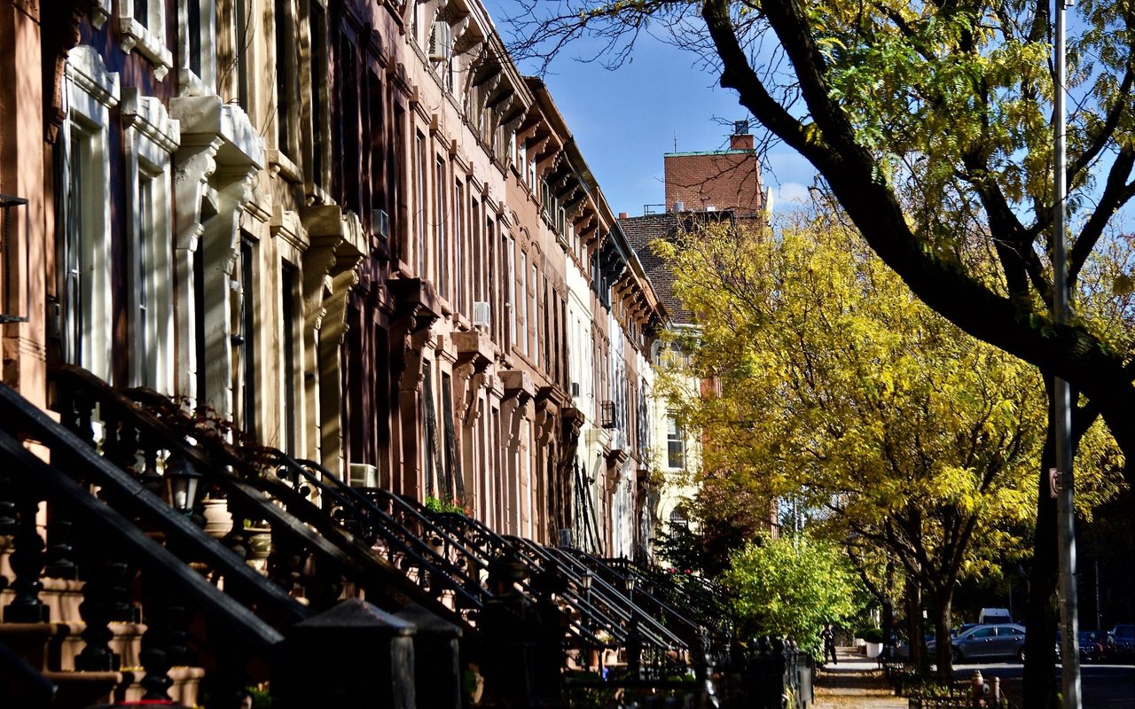 Bedford-Stuyvesant