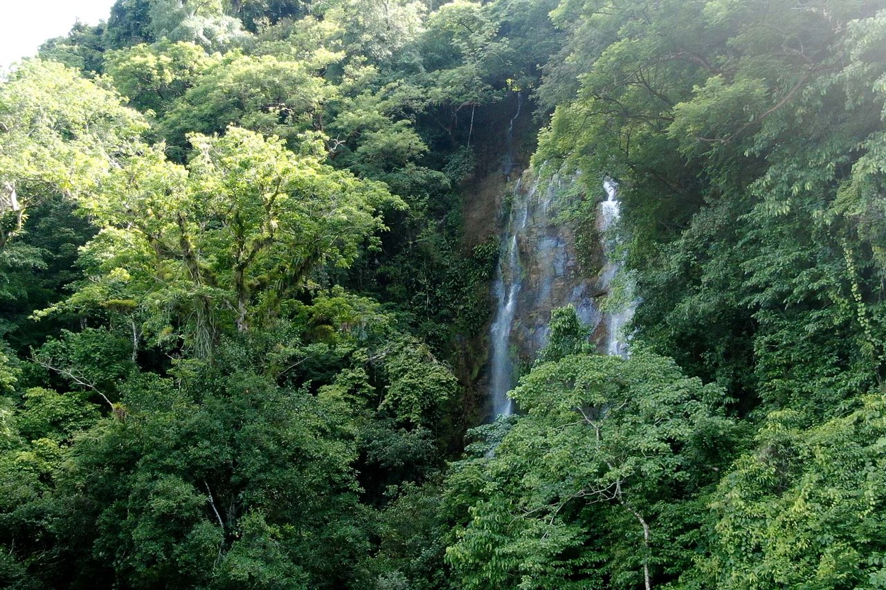 Luxury 3-Bedroom Waterfall-View Home