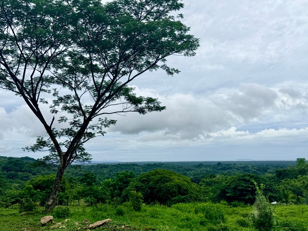 Ocean View Sanctuary in San Buenas – 4.94 Acres of Pastures & Easy Accessaccess