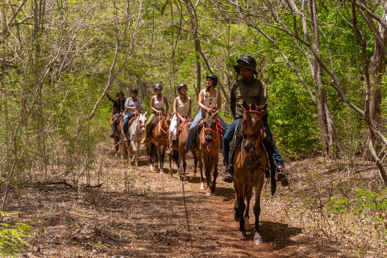 HACIENDA PINILLA | GUANACASTE