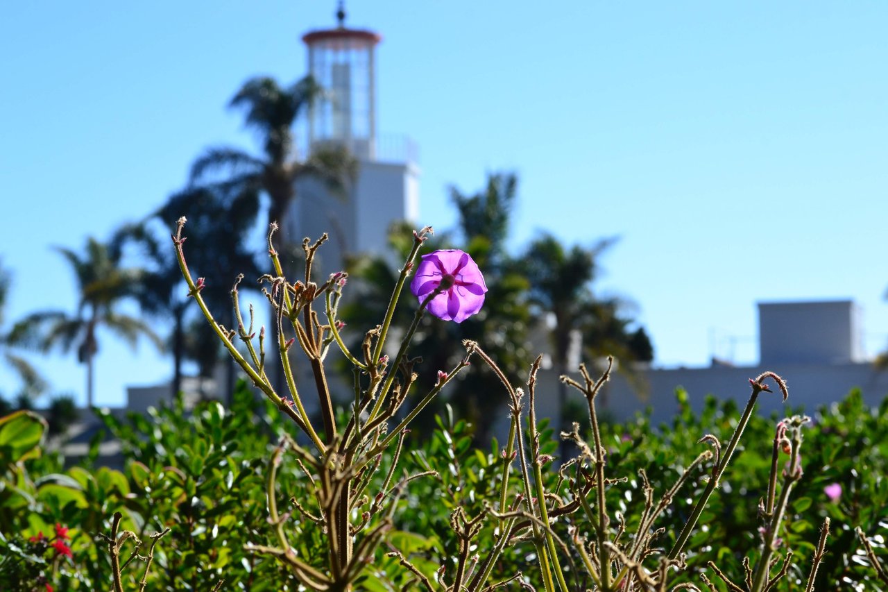 Montecito