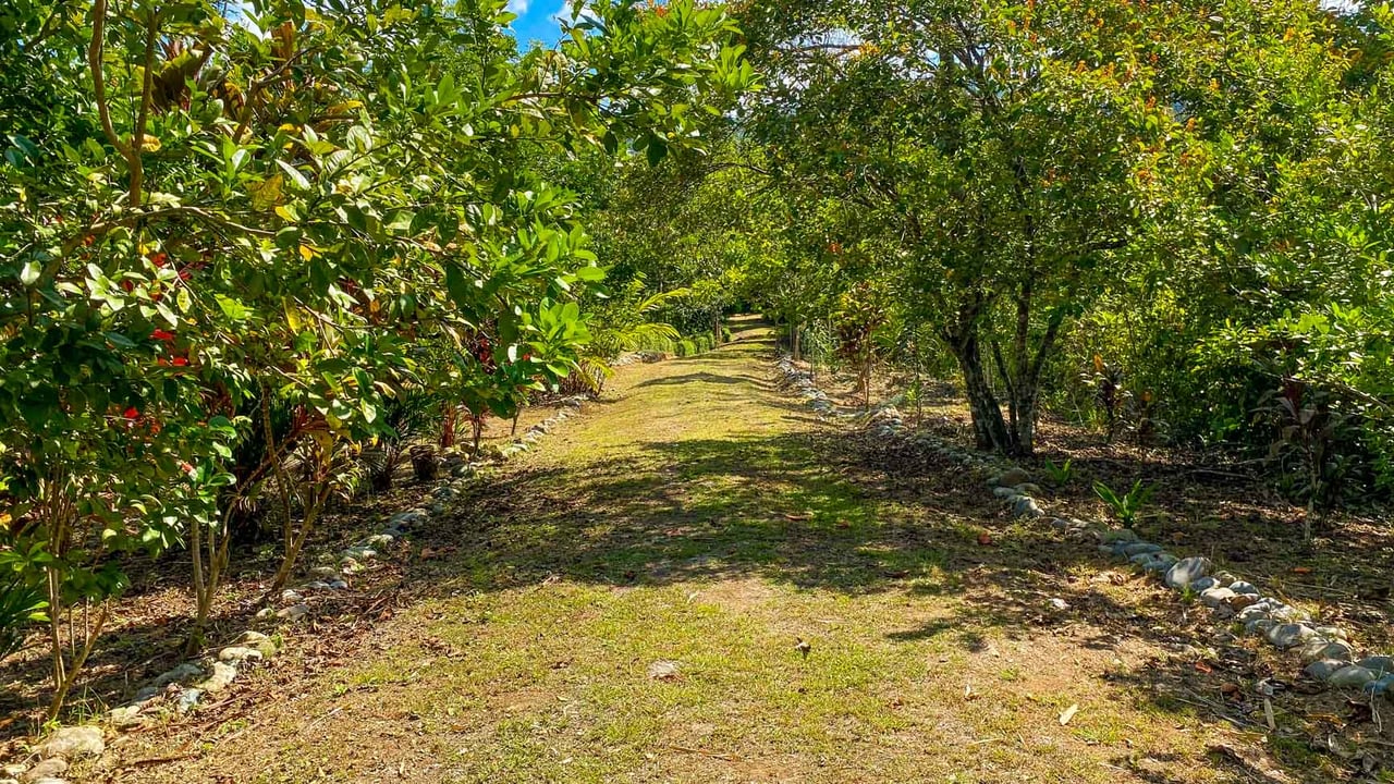 32-Acre Self-Sustainable Off-Grid Farm Near Ojochal with House, Solar Power & River