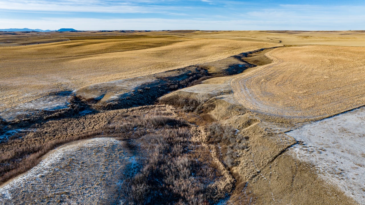 Blood Coulee Ranch