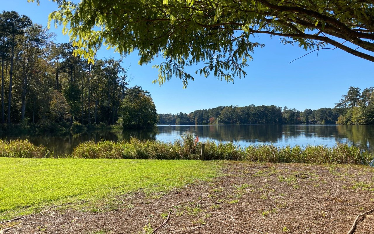 Lake Redwine