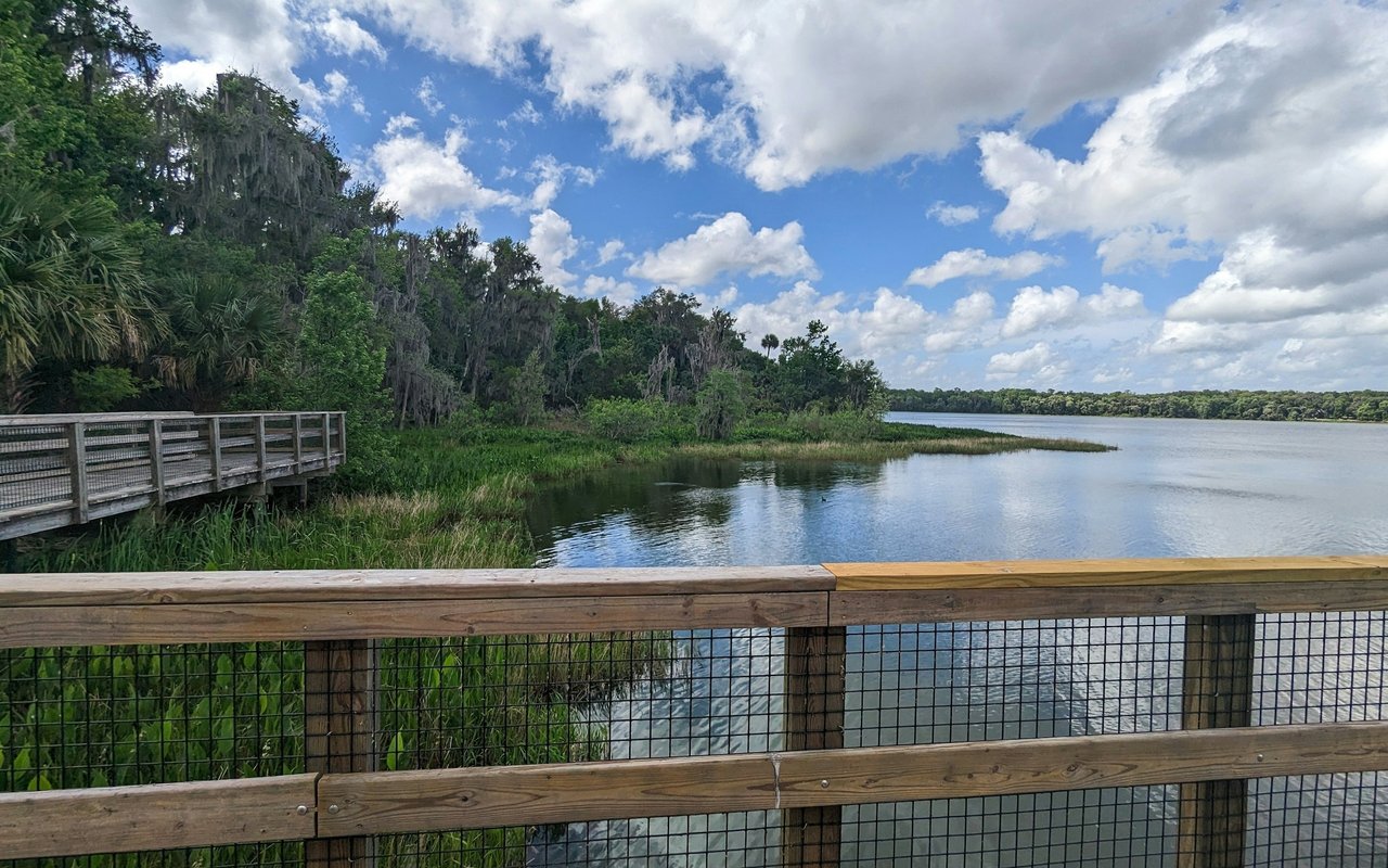 Micanopy lakeshore with a wooden boardwalk, marsh grasses, and Spanish moss-draped trees.