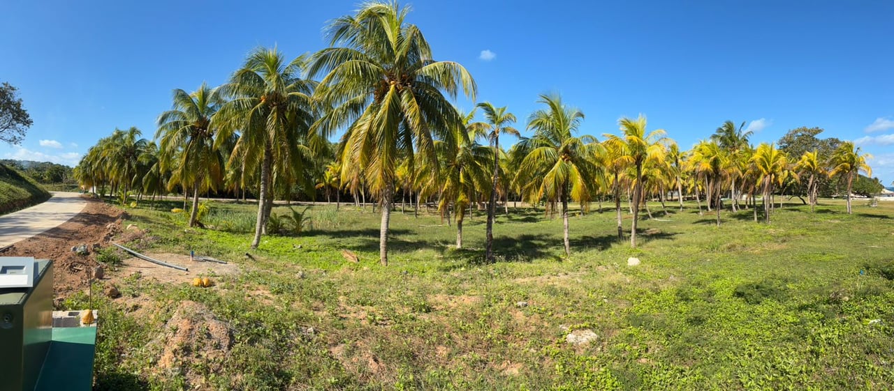 Beachfront Lot Diamond Beach