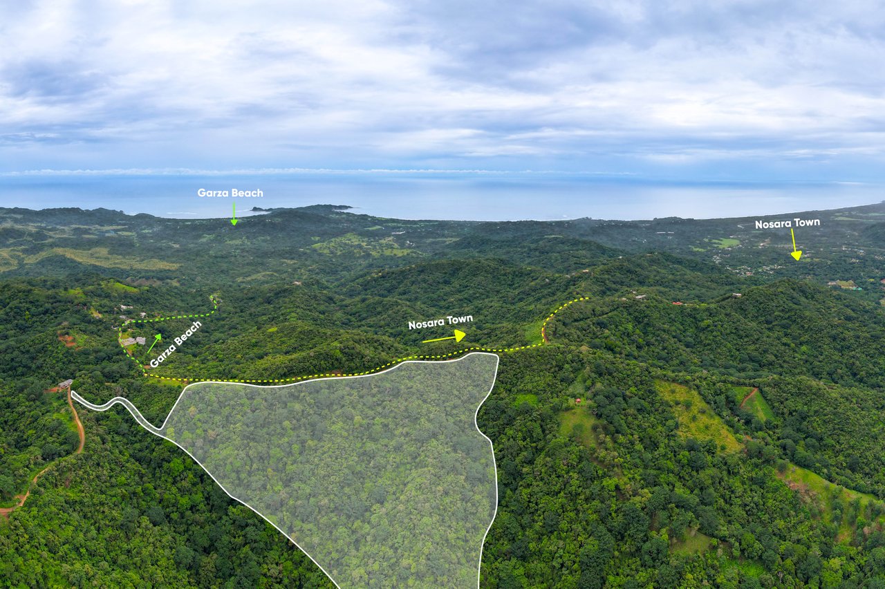 Finca El Toledo – A Signature Property for Visionary Development