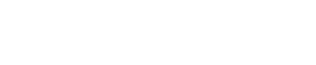 Light Logo