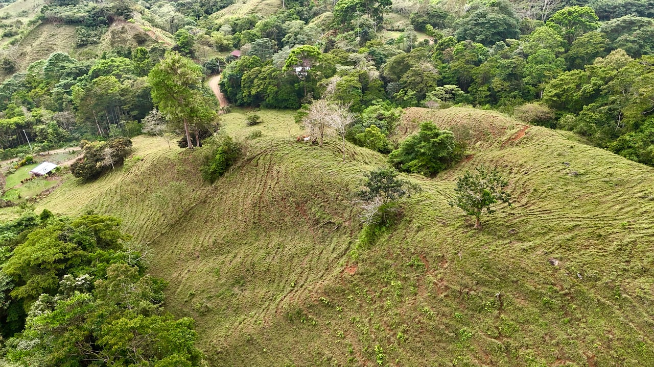Gorgeous Land in San Luis Morete - Uvita - Over 17 Acres