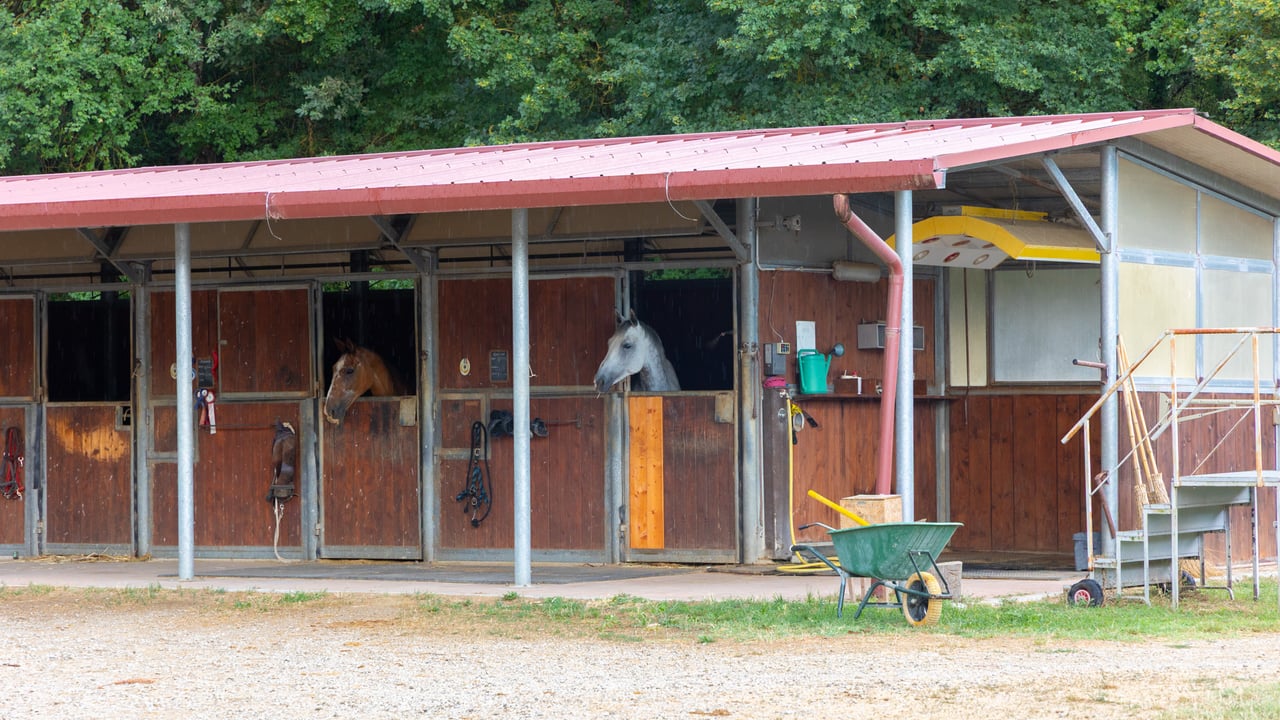 TENUTA CAVALLI CELTI
