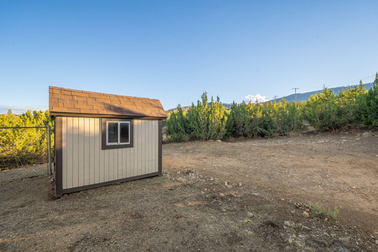 9025 Pine Tree