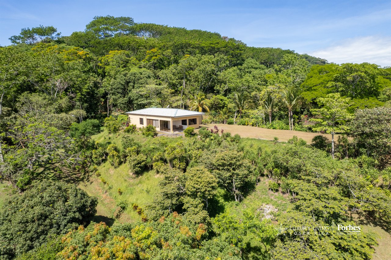 Aerial view of a house amid tropical forest, with a lawn and cultivated greenery.