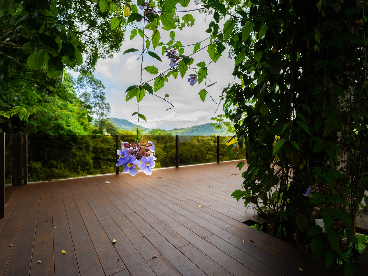 Where the Journey Begins | Private Jungle Estate at Nauyaca Waterfalls