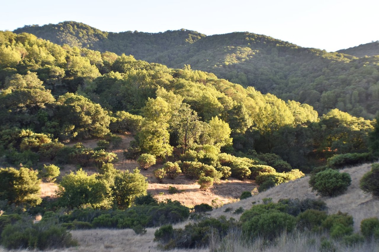 West Marin