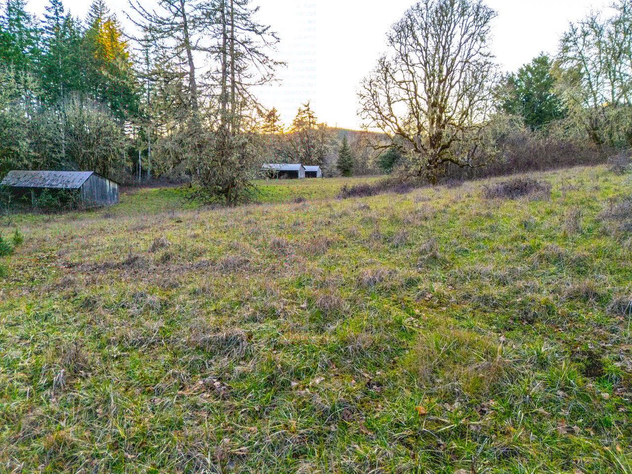 HARRIS FARM & FOREST