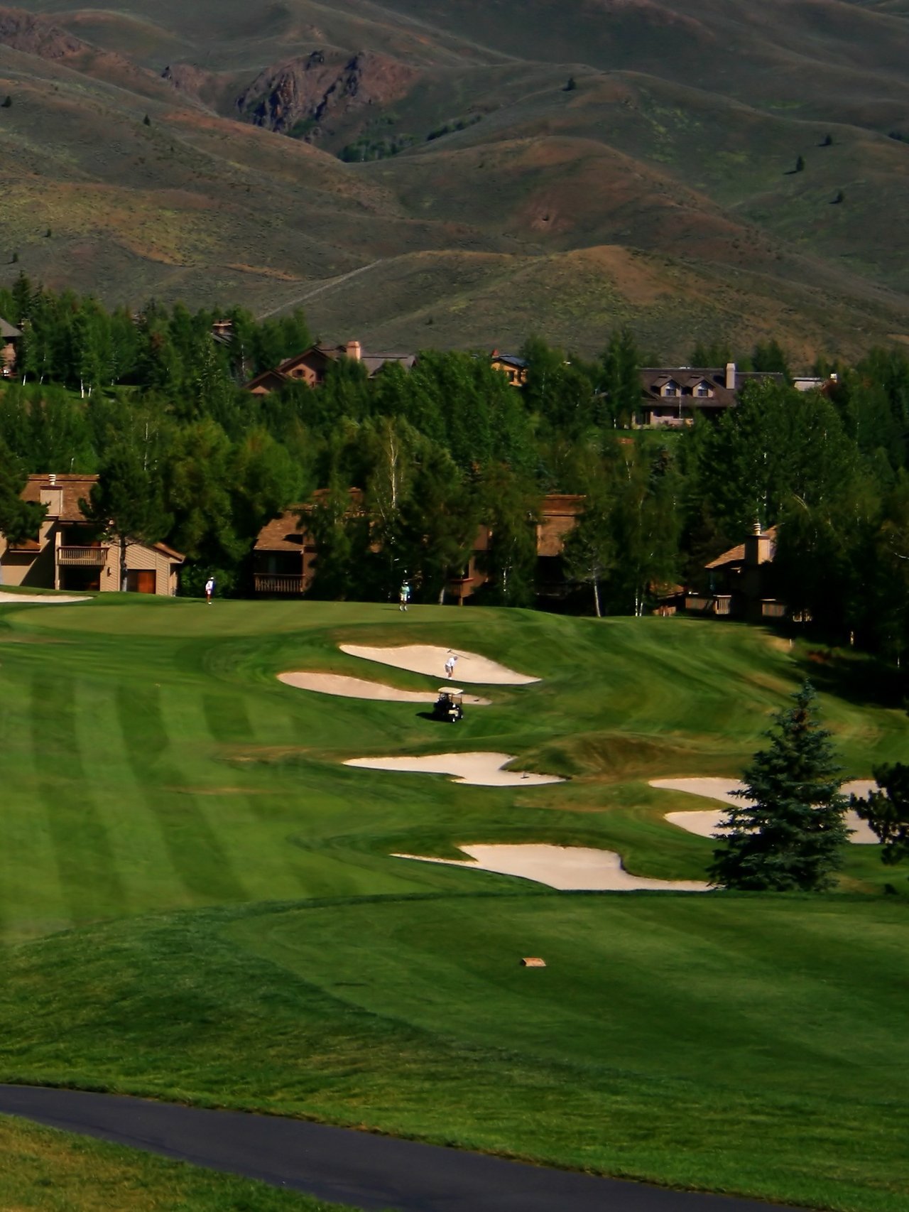 Search Golf Communities