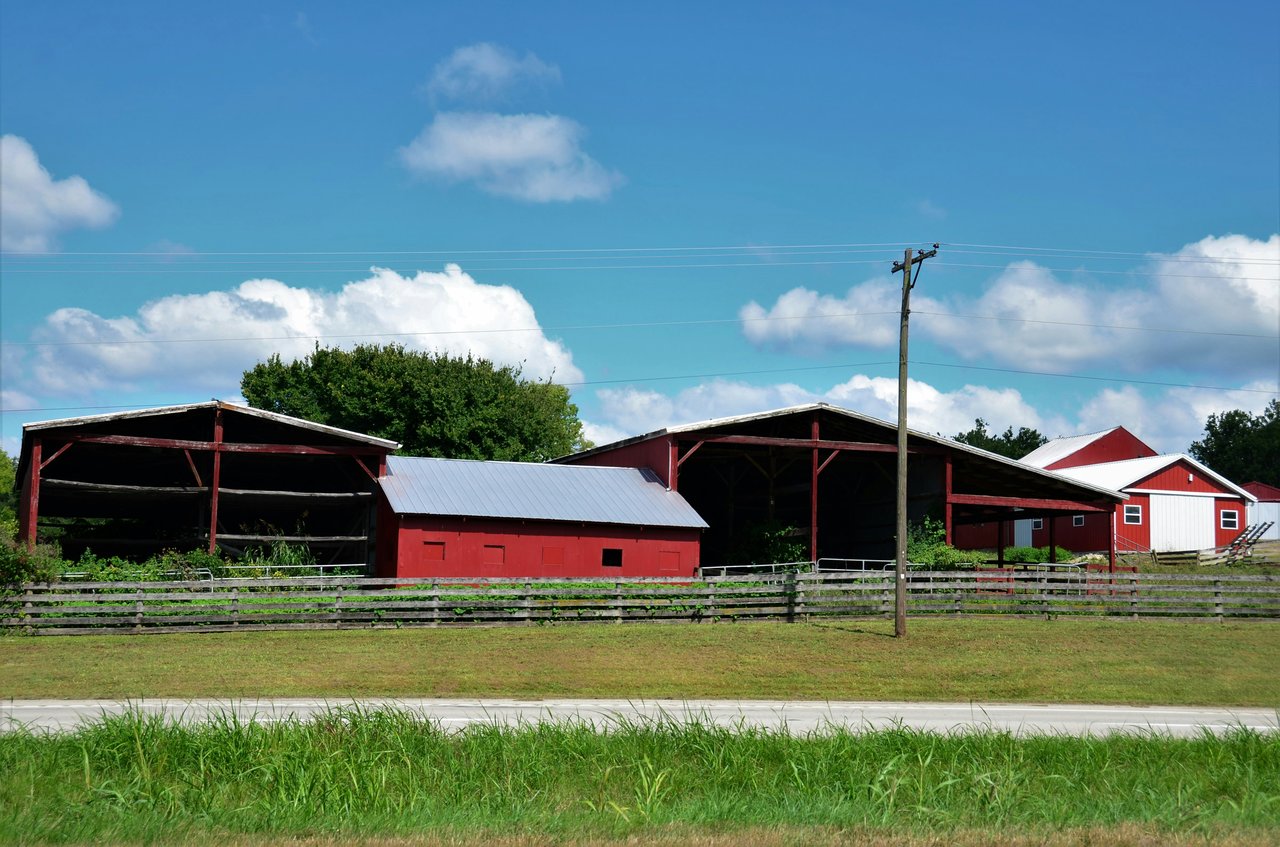 Montague County