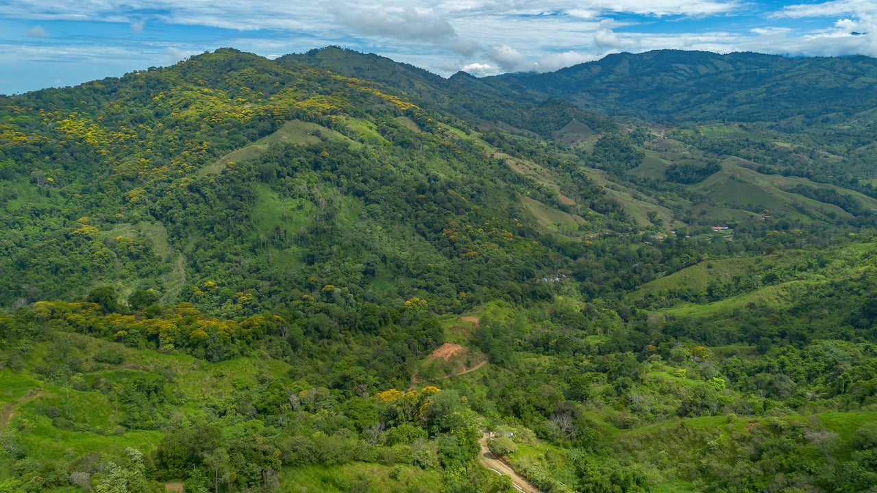 60 Hectares in Platanillo 
