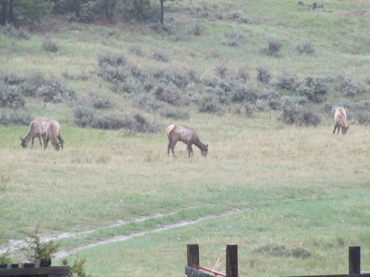 369 Border Trail