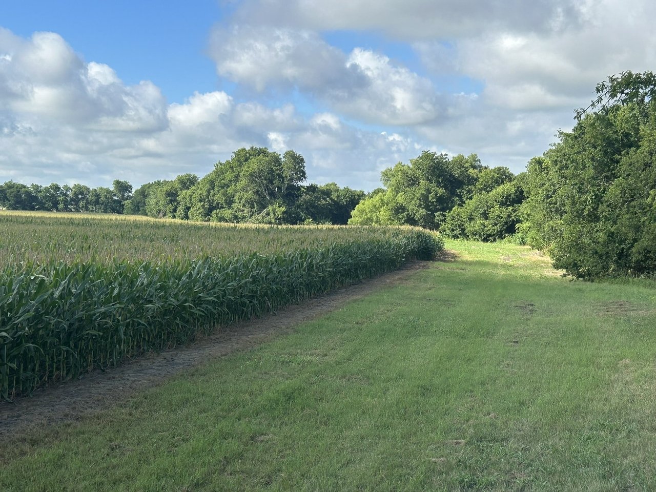 25 Acres in Temple, Tx