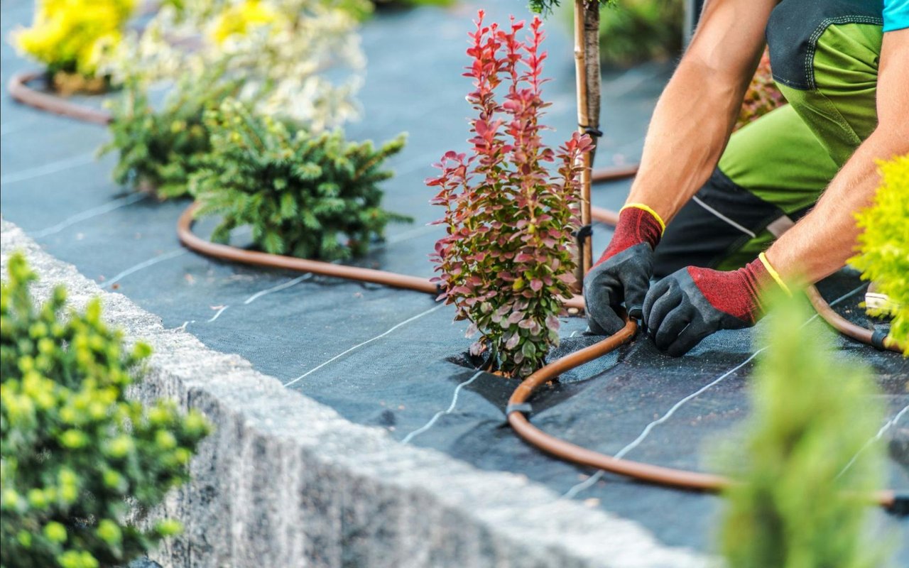 Top Landscaping Tips in Beverly Hills, CA to Improve Curb Appeal