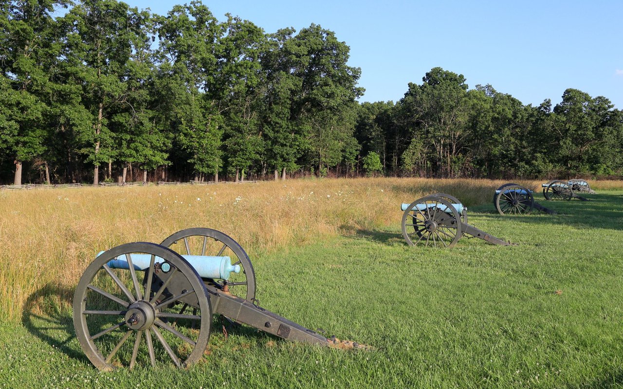 Historic cannons line a grassy clearing beside a wooded area.