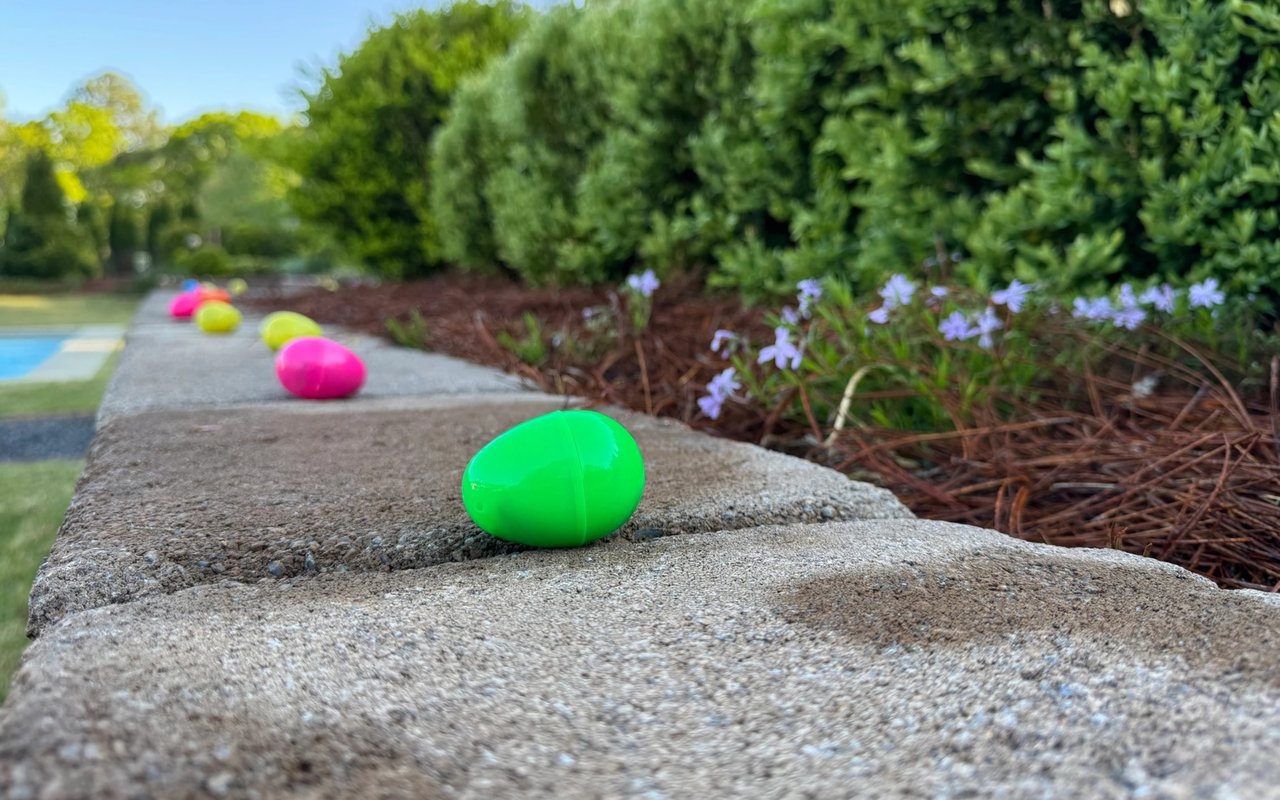 A Heartfelt Thank You to the Anderson Community: You Made Our Easter Egg Hunt for a Cause Truly Special