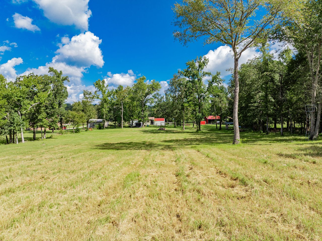 A Ben Wheeler Country Home & Land Dream!