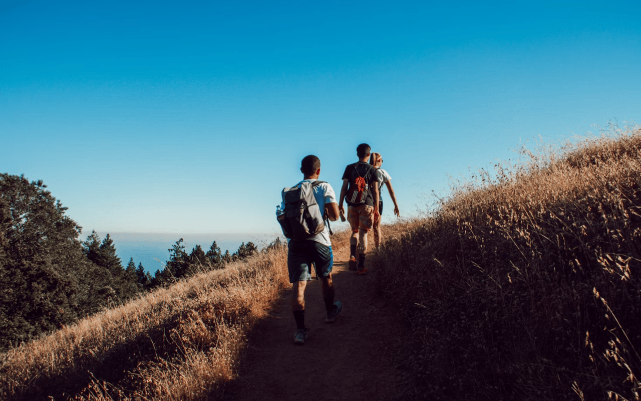 The Best Hikes Near Sherman Oaks, California cover