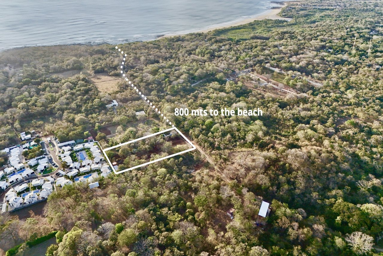 Simbiosis at Playa Avellanas: An Exclusive Gated Community Steps From The Beach 