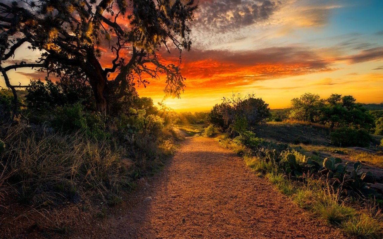 4 Quaint Small Towns Around San Antonio