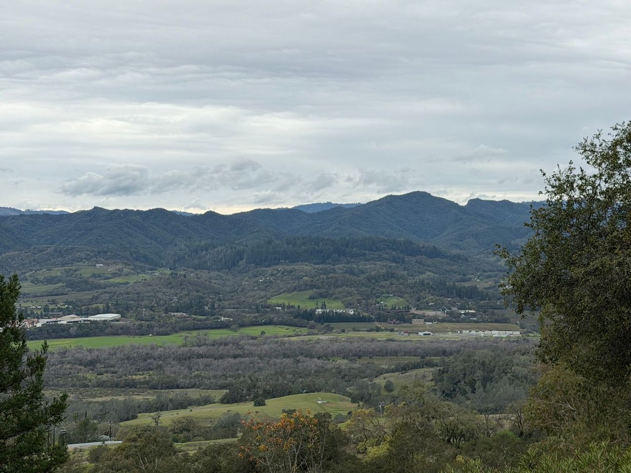 1163 Mountain Pine Rd